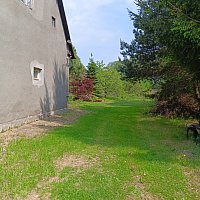 zdjecie ogloszenia