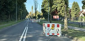 Miasto przejmuje ulice. Szykują się spore wydatki