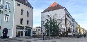 Zniknęła wierzba z Placu Wolności. Co się stało?