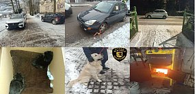 Straż Miejska Szczecinek: 105 interwencji w tydzień.