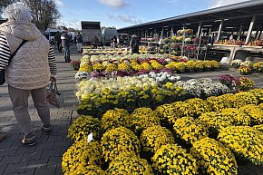 Handel kwiatami i stroikami-9299