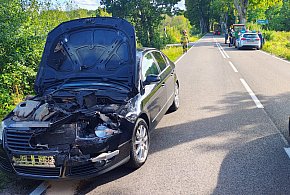 Groźne zdarzenie na drodze wojewódzkiej nr 171. Spadło drewno z ciężarówki-49227