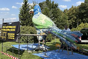 Nowe życie kruka. Tym razem w kolorach tęczy - 49332