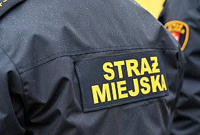 Zapuka strażnik, zapłacisz karę. Ruszyły kontrole w całej Polsce-49978