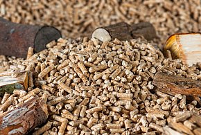 Drożeje popularny opał. Miliony Polaków dostaną po kieszeni tej zimy-50327