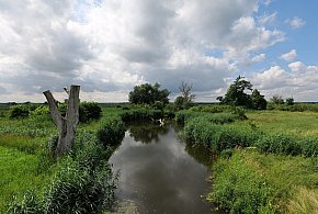 Co dalej z nowym parkiem narodowym? Minister klimatu zdradza plan po wecie-50617
