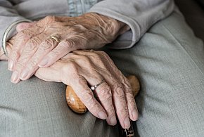 Te osoby dostaną dwie emerytury w grudniu. ZUS przesuwa przelewy-50895