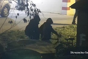 Kradną rowery, kamery to widzą. Monitoring i strażnicy odzyskali rowery-51072