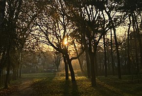 Nadchodzi najkrótszy dzień w 2025 roku. Sprawdź, kiedy przypadnie-51595