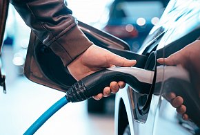 Coraz częściej dochodzi do takich kradzieży. Powody zaskakują-52188