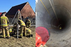 Nietypowa interwencja. Zwierzęta w pułapce pod ziemią