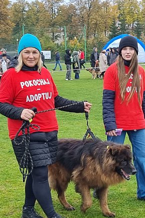 Tak wyglądała wystawa psów w Szczecinku-9245