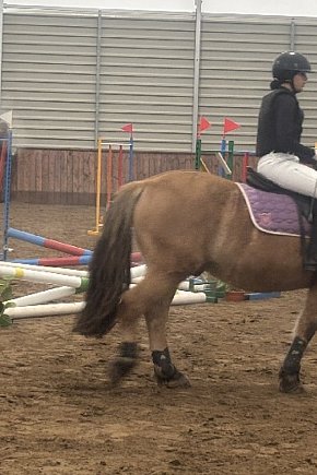 III halowy sparing w Stajni Biskupice otworzył sezon-9356