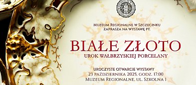 Wystaw pt. Białe Złoto - Urok Wałbrzyskiej Poreclany-1184