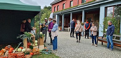 ZAZ w Juchowie z gwarancją finansowania na 2026 rok-50714