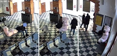 Co za akcja! Porwał wielkiego różowego misia. Został schwytany po pościgu-50898