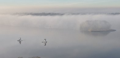Mgły i mróz. Na drogach może być ślisko [ALERT IMGW]-51483