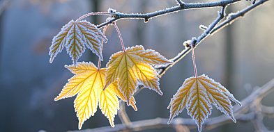 Silny mróz nad regionem. IMGW ostrzega mieszkańców Szczecinka