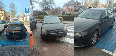 164 interwencje Straży Miejskiej w tydzień.