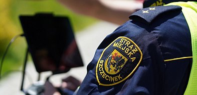 Parkowanie, śmieci i alkohol. Tydzień Straży Miejskiej.