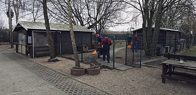 Nie tylko kara. W Szczecinku więźniowie pomagają zwierzętom
