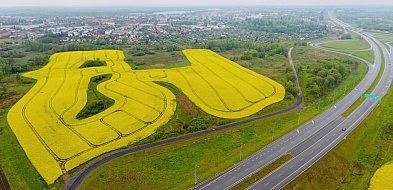 Jeden przetarg, miliony na stole. Ratusz liczy pieniądze