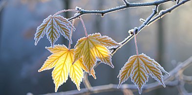 Silny mróz nad regionem. IMGW ostrzega mieszkańców Szczecinka