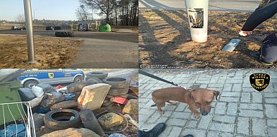 181 interwencji Straży Miejskiej w Szczecinku w tydzień.