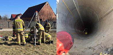 Nietypowa interwencja. Zwierzęta w pułapce pod ziemią