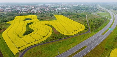 Jeden przetarg, miliony na stole. Ratusz liczy pieniądze