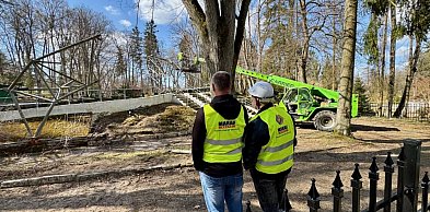 PULS REGIONU Amfiteatr w Połczynie w przebudowie. Ruszyła rozbiórka