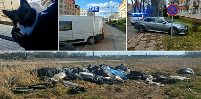 Szczecinek: lawina mandatów za parkowanie.