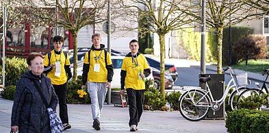 Żółte żonkile i wielkie serca. Tak wyglądały Pola Nadziei w Szczecinku