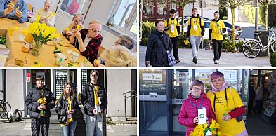 Żółte żonkile i wielkie serca. Tak wyglądały Pola Nadziei w Szczecinku