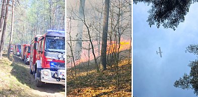 Pożary lasów w regionie. W akcji strażacy, śmigłowiec i samolot