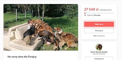 Ruszyła zbiórka dla Psikątka Tośkowej Ferajny