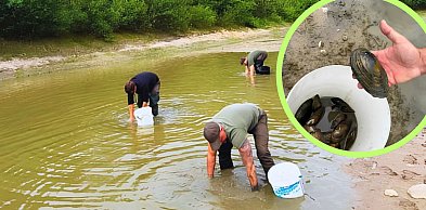 Nietypowa akcja leśników. Chodziło o życie małych stworzeń