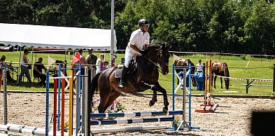 Zawody jeździeckie w Biskupicach. 151 startów.