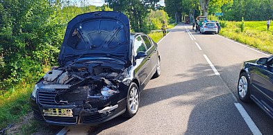 Groźne zdarzenie na drodze wojewódzkiej nr 171. Spadło drewno z ciężarówki-49227