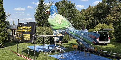Nowe życie kruka. Tym razem w kolorach tęczy-49332
