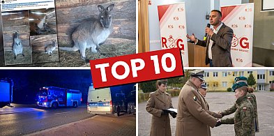 Kangur, Bąkiewicz, noc na basenie... Takie były ostatnie dni w mieście-50214