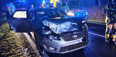 Jeleń wyskoczył prosto pod maskę. Kierowca trafił do szpitala-50252