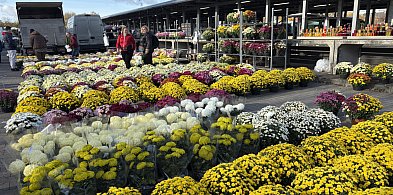 Ile kosztują znicze i kwiaty w Szczecinku? Sprawdziliśmy ceny!-50342