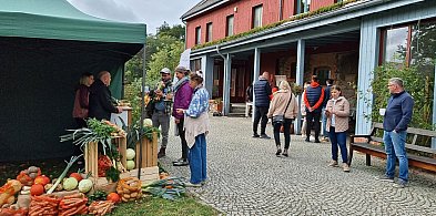 ZAZ w Juchowie z gwarancją finansowania na 2026 rok-50714