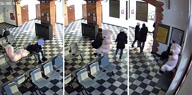 Co za akcja! Porwał wielkiego różowego misia. Został schwytany po pościgu-50898