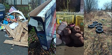 Straż Miejska Szczecinek: 138 interwencji w tydzień-51543