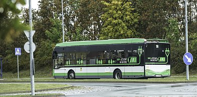 Świąteczny rozkład jazdy autobusów w Szczecinku-51670