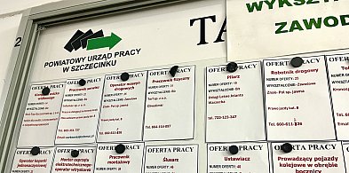 Końcówka roku z dużą liczbą ofert pracy. Sprawdź aktualne ogłoszenia-51709