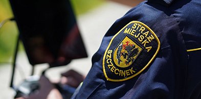 Sylwestrowy apel strażników miejskich: To nie jest noc bez zasad!-51763