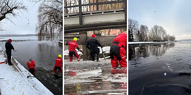 Ratownicy weszli do lodowatej wody. Pomagają ptakom-51928